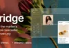 Download Bridge Theme v30.9 Nulled