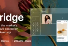 Download Bridge Theme v30.9 Nulled